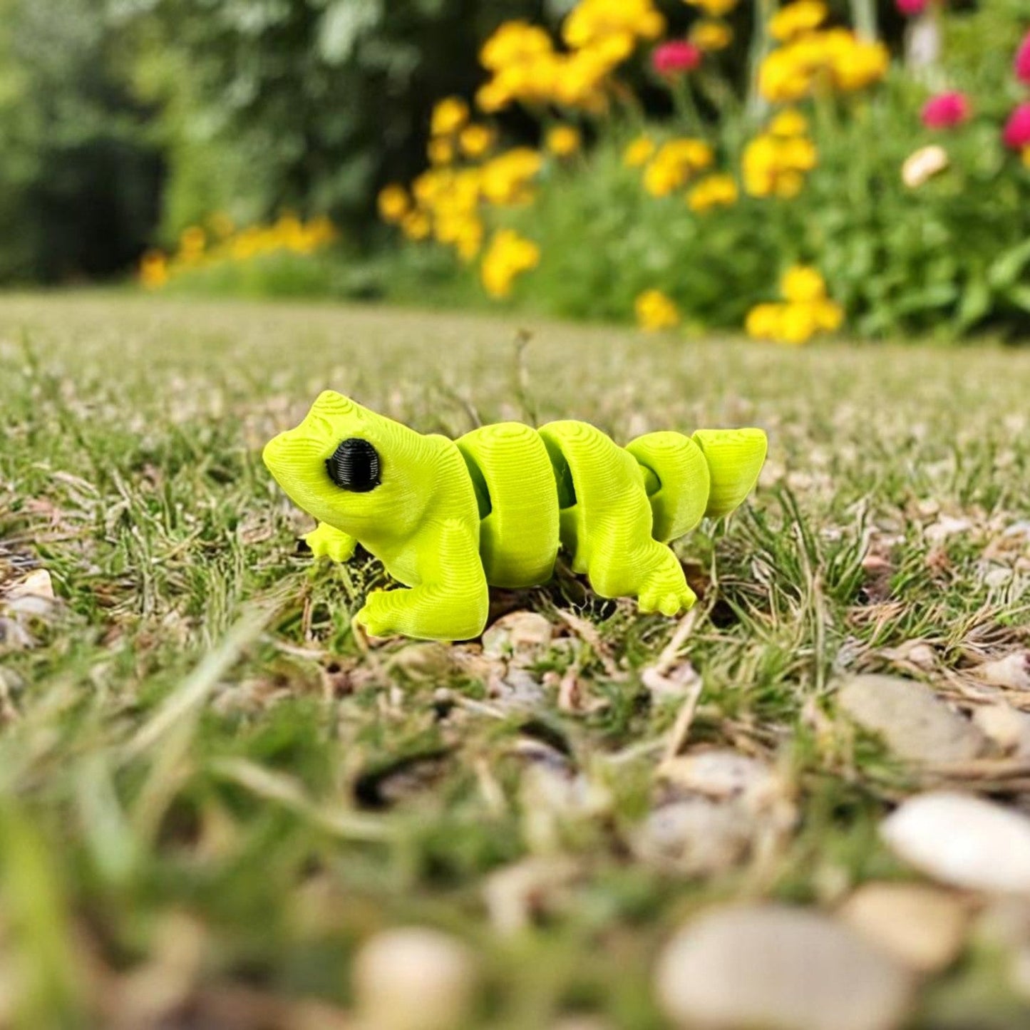 Lizard